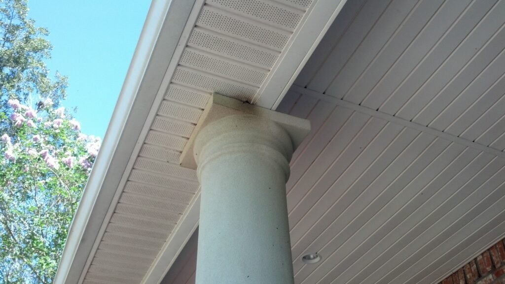 photo Bat entry point in a column